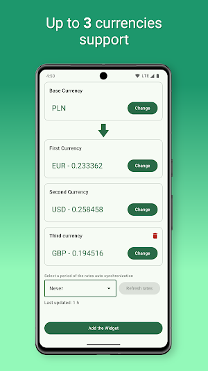 Currency Converter Widget Screenshot 2