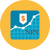 Net Present Value Single and I
