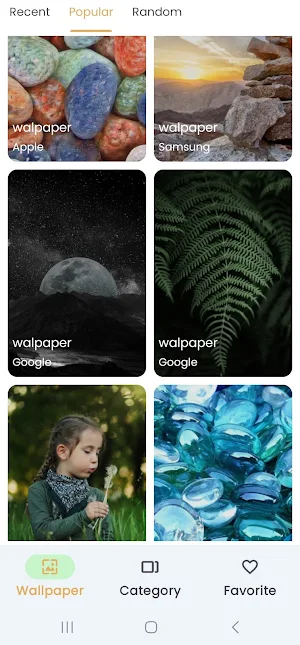 Mixwall 2024 Screenshot 3