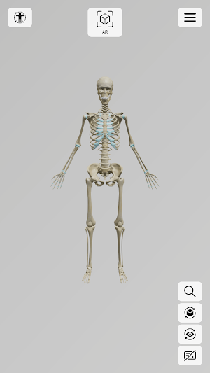 exe Anatomy AR Screenshot 1