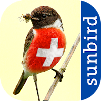 All Birds Switzerland