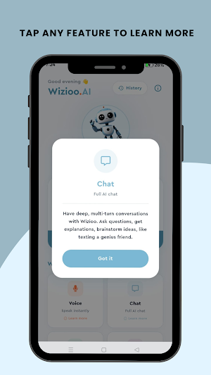 Wizioo.AI Screenshot 2