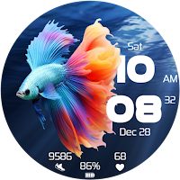 Betta Fighting Fish Watch Face