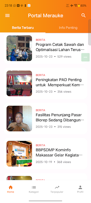 Portal Merauke Screenshot 0