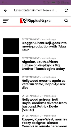 Newspress Screenshot 2