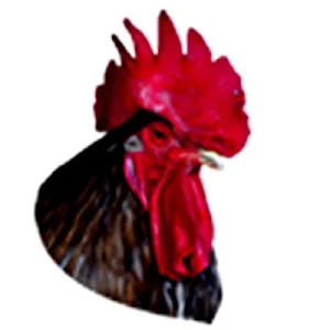 Kenya Poultry Consultancy Platform (KPCP) Screenshot 1