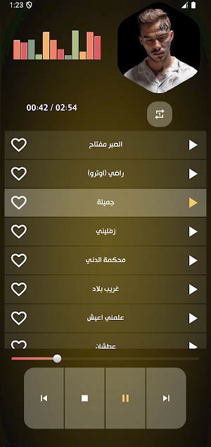 اغاني سيلاوي بدون نت 2025 Screenshot 2