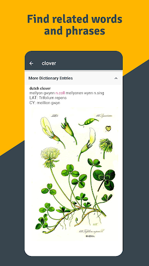 App Gerlyver Screenshot 2