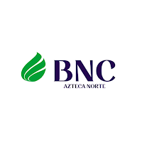 BNC Clientes