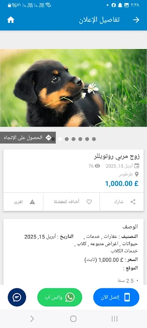 Harag Syria Screenshot 3