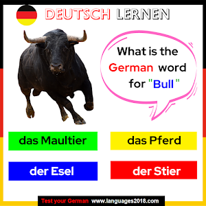 Deutsch Lernen - Learn German Screenshot 0