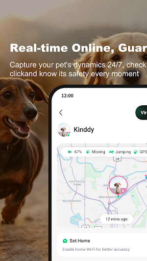 AQUITOYDOG Screenshot 1