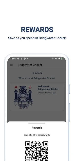 Bridgwater Cricket Screenshot 2