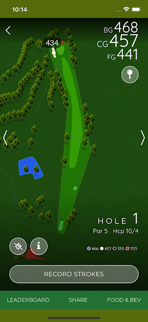 Chemung Hills Golf Club Screenshot 2