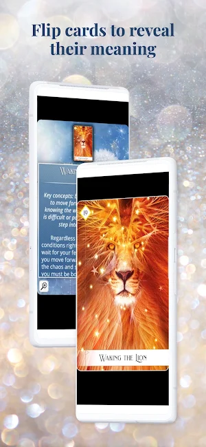 Oracle of the 7 Energies Screenshot 3