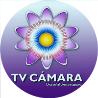 TV CÁMARA