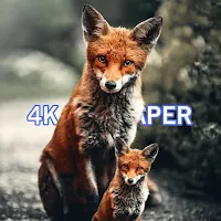 Animal Wallpaper 4K