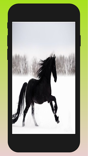 running horse wallpaper hd Screenshot 3