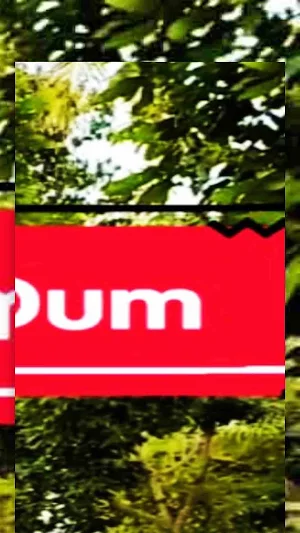 DJ Dum Dum Screenshot 3