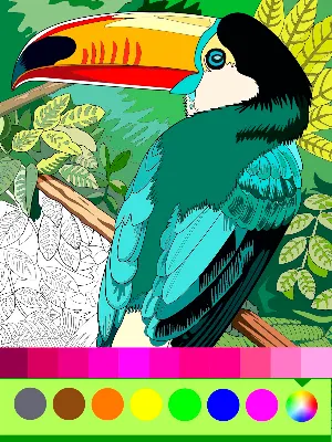 Birds Coloring Art Book Screenshot 0