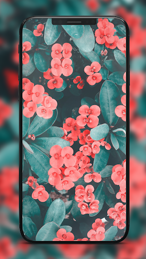4k Wallpapers FHD Backgrounds Screenshot 0