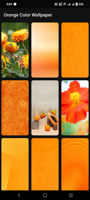 Orange Color Wallpaper Screenshot 2