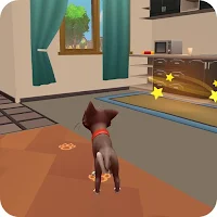 Tiny Paws: My Pets Journey