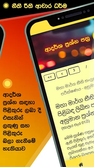 Learners Exam Sinhala - Driver Screenshot 3