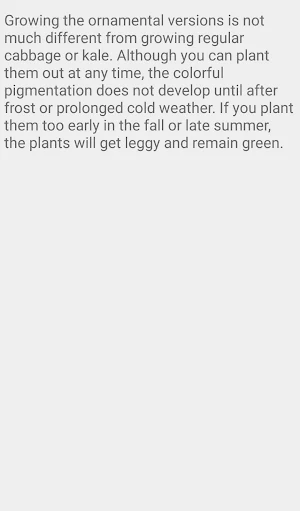 Ornamental Cabbage and Kale Screenshot 3