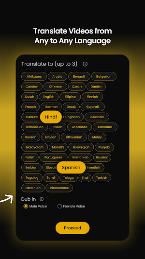 Panini Translate Screenshot 3