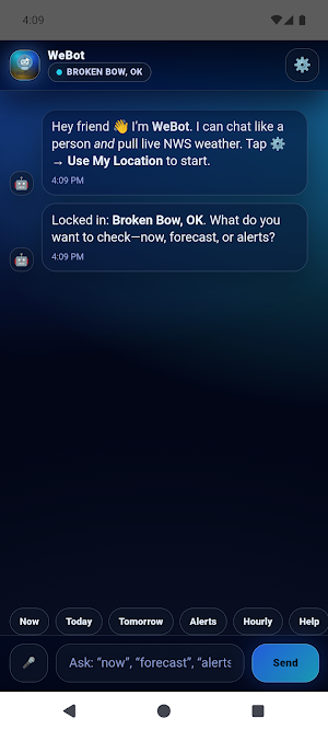 WeBot Screenshot 1