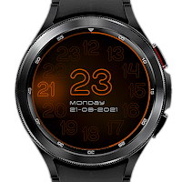 252 PS 24H