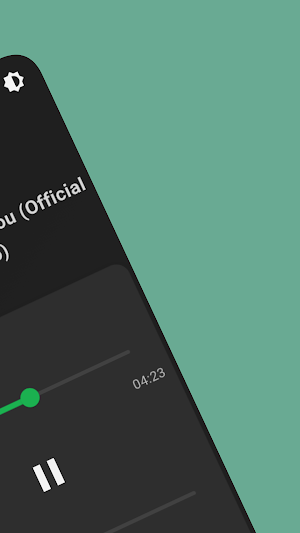 Reverb and Slowed Music Player Screenshot 1