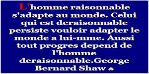 Citation du Jour - Motivation Screenshot 1