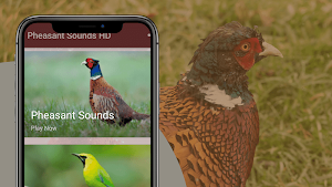Pheasant Sounds Screenshot 1