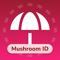 Mushroom ID: AI Identifier