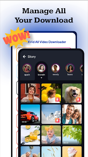 XVid All Video Downloader Screenshot 1