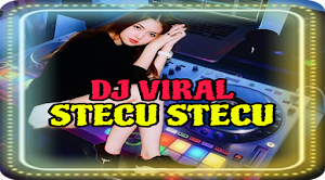 DJ Stecu Stecu Lagi Viral Screenshot 0