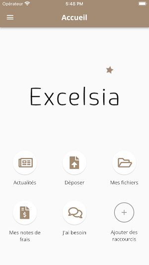 EXCELSIA AUDIT Screenshot 1