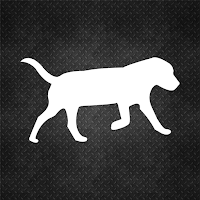 dogPACER 4.0