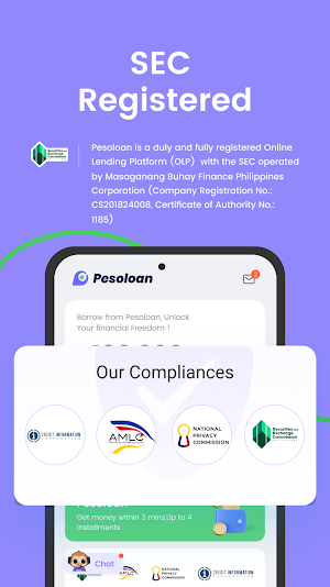 Pesoloan Screenshot 2