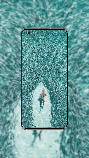 Sharks Wallpaper Screenshot 1