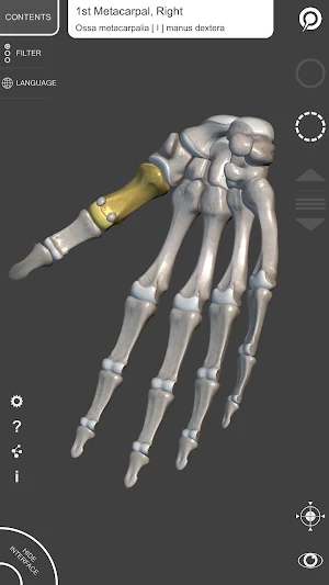 3D Anatomy for the Artist Screenshot 3