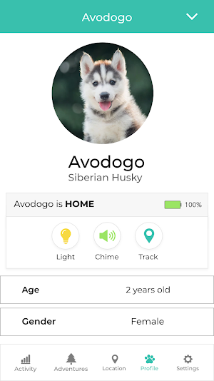Link My Pet Screenshot 3