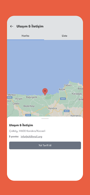 Organizaction Screenshot 3