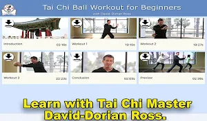 Tai Chi Ball Beginner Screenshot 0
