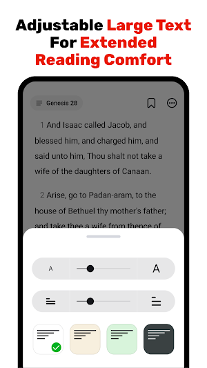 Bible Lite Screenshot 3