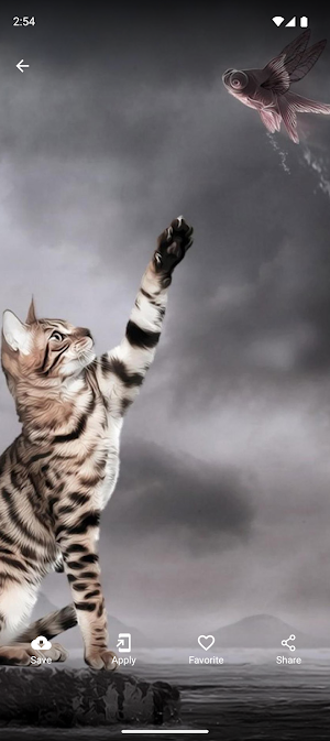 Cute Kittens Wallpapers 4K Screenshot 2