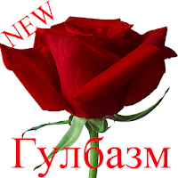 Гулбазми нав 2019