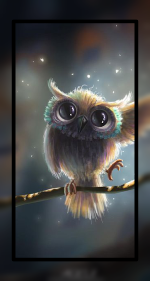 Baby Owl Wallpaper HD 4K Screenshot 0